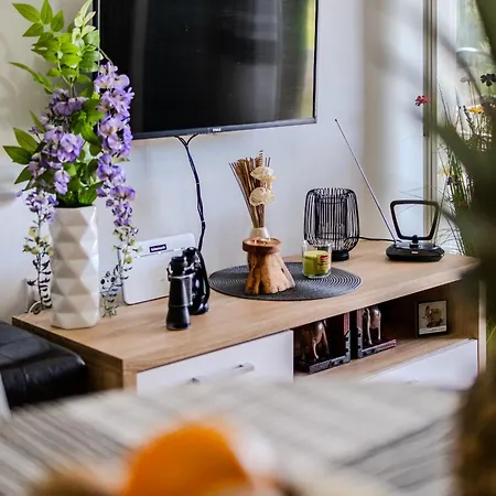 Elephant * 포스티라