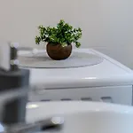아파트 Elephant *
